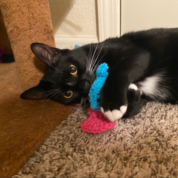 Offers Welcome Here!!! - Picture 2 of 7